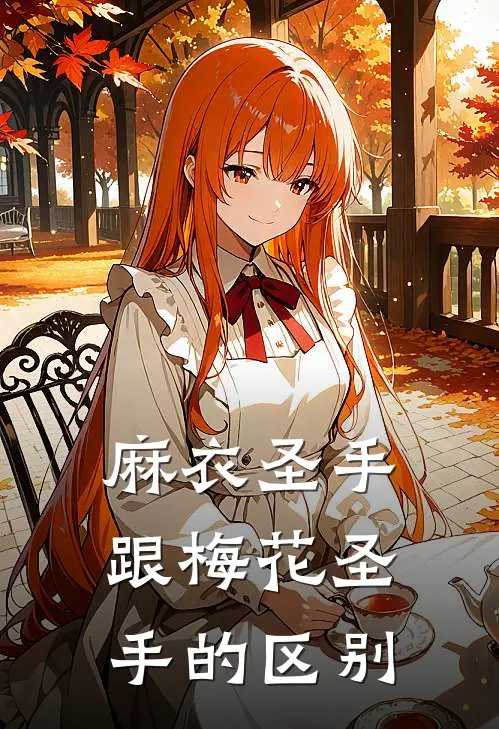 麻衣圣手跟梅花圣手的区别