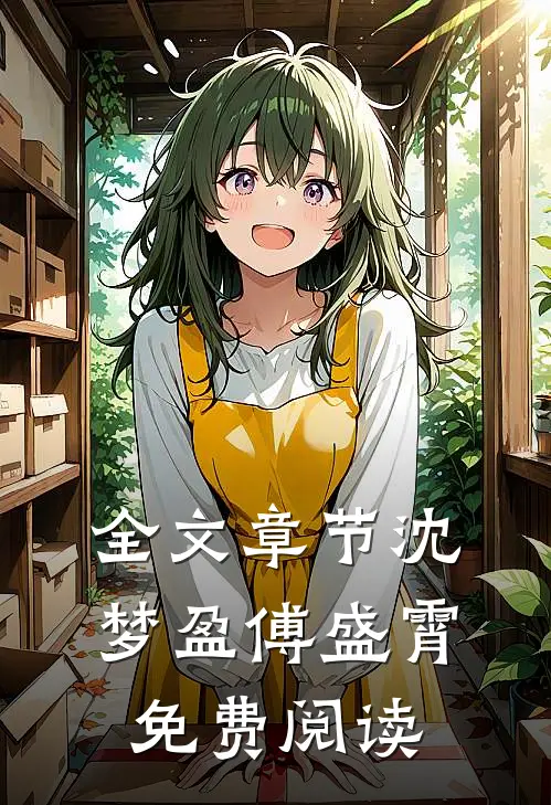 全文章节沈梦盈傅盛霄免费阅读