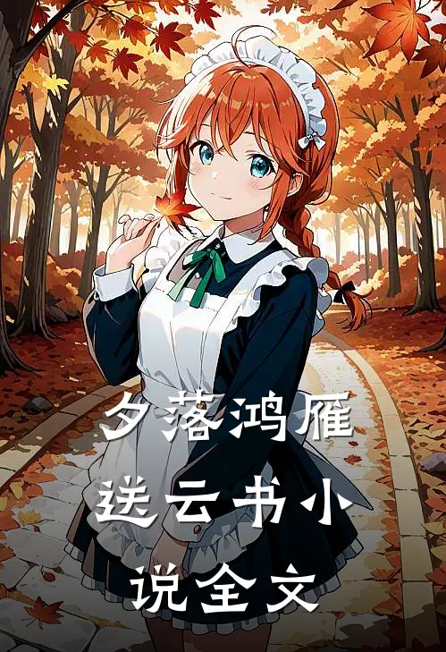 夕落鸿雁送云书小说全文