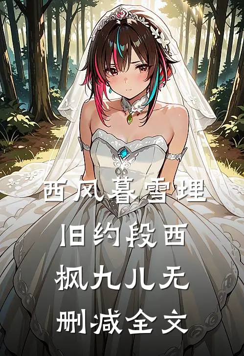 西风暮雪埋旧约段西枫九儿无删减全文
