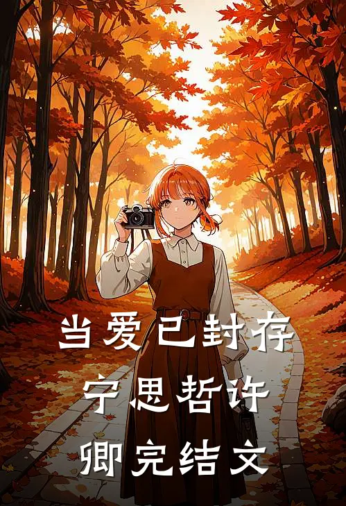 当爱已封存宁思哲许卿完结文
