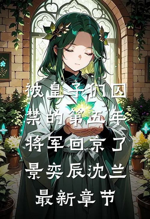 被皇子们囚禁的第五年，将军回京了景奕辰沈兰最新章节