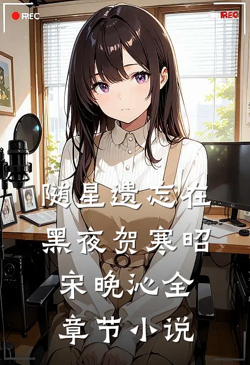 随星遗忘在黑夜贺寒昭宋晚沁全章节小说