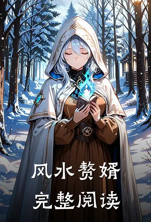 风水赘婿完整阅读