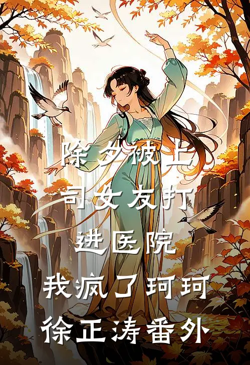 除夕被上司女友打进医院，我疯了珂珂徐正涛 番外
