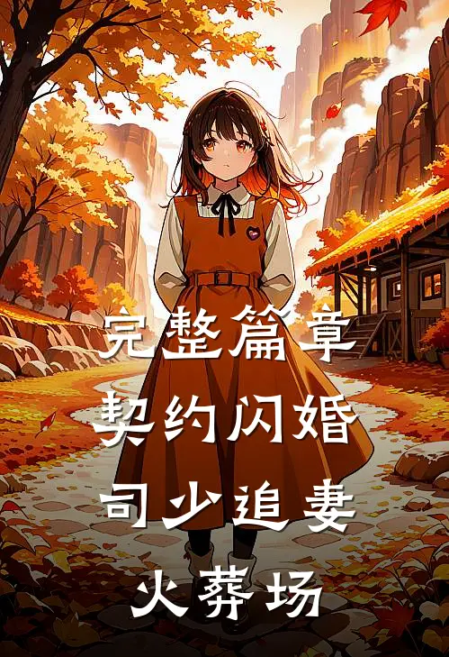 完整篇章契约闪婚：司少追妻火葬场