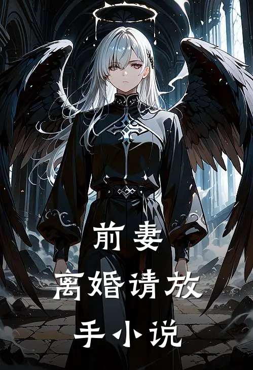 前妻，离婚请放手小说