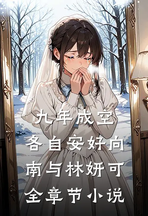 九年成空，各自安好向南与林妍可全章节小说