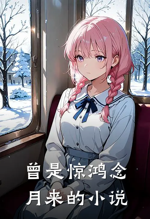 曾是惊鸿念月来的小说
