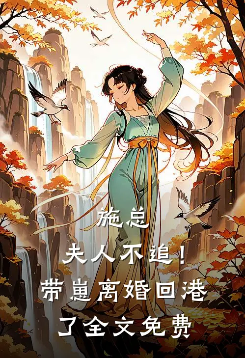 施总，夫人不追！带崽离婚回港了全文免费