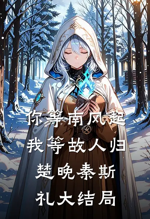 你等南风起，我等故人归楚晚秦斯礼大结局