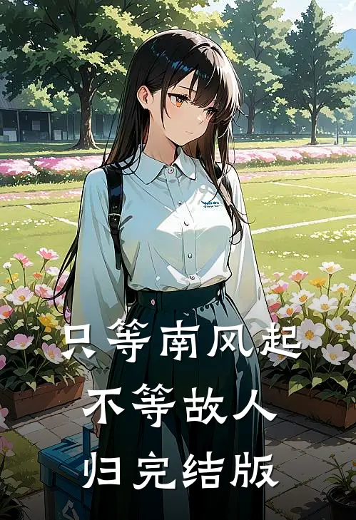 只等南风起，不等故人归完结版