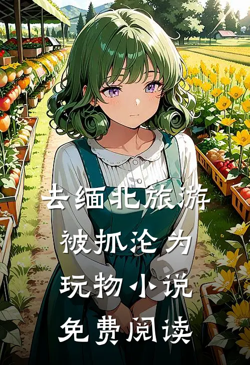 去缅北旅游被抓沦为玩物小说免费阅读