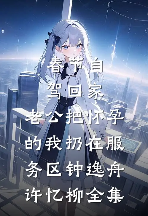 春节自驾回家，老公把怀孕的我扔在服务区钟逸舟许忆柳全集