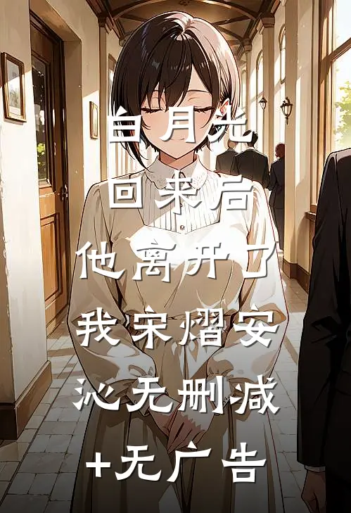 白月光回来后，他离开了我宋熠安沁无删减+无广告