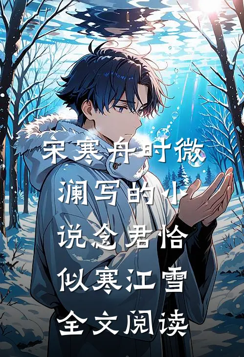 宋寒舟时微澜写的小说念君恰似寒江雪全文阅读
