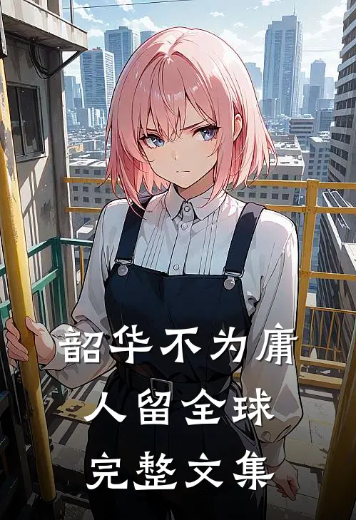 韶华不为庸人留全球完整文集