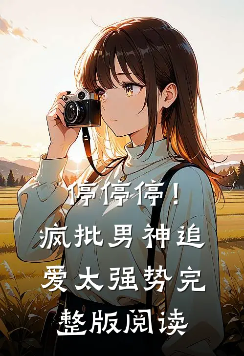 停停停！疯批男神追爱太强势完整版阅读